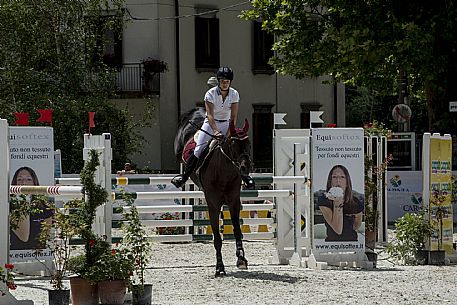 Horse Show